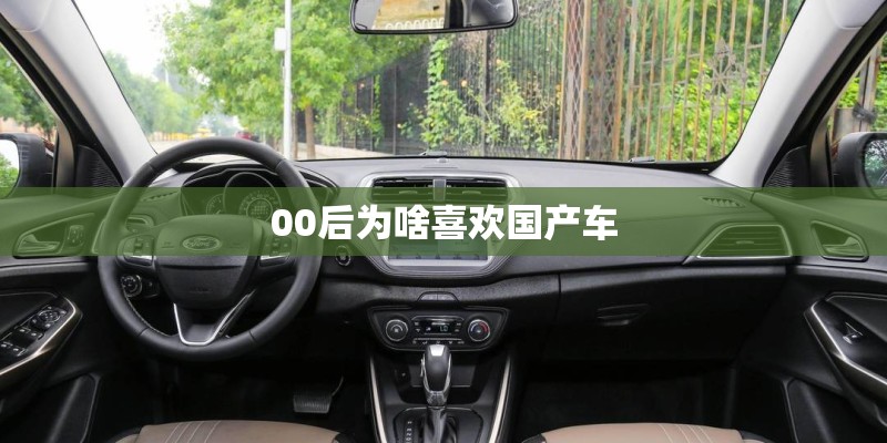 00后为啥喜欢国产车