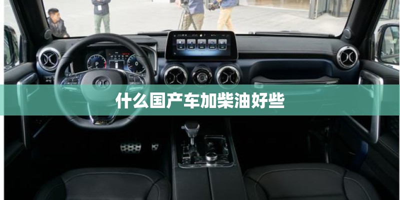 什么国产车加柴油好些