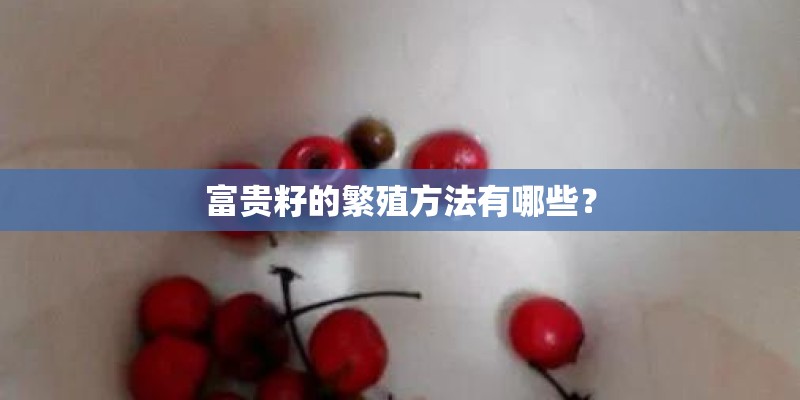 富贵籽的繁殖方法有哪些？
