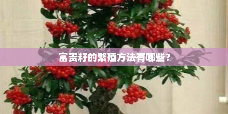 富贵籽的繁殖方法有哪些？