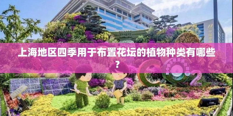 上海地区四季用于布置花坛的植物种类有哪些？