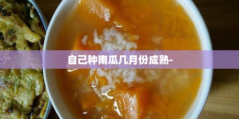 自己种南瓜几月份成熟-