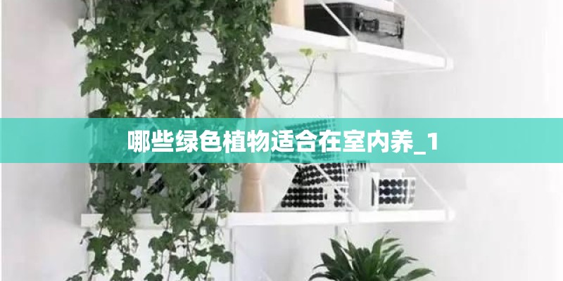 哪些绿色植物适合在室内养_1
