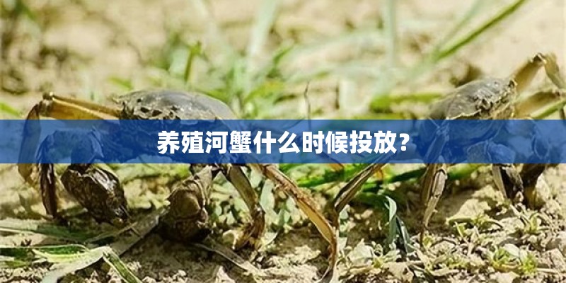 养殖河蟹什么时候投放？