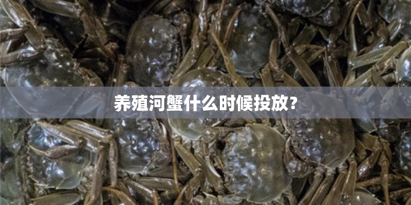 养殖河蟹什么时候投放？