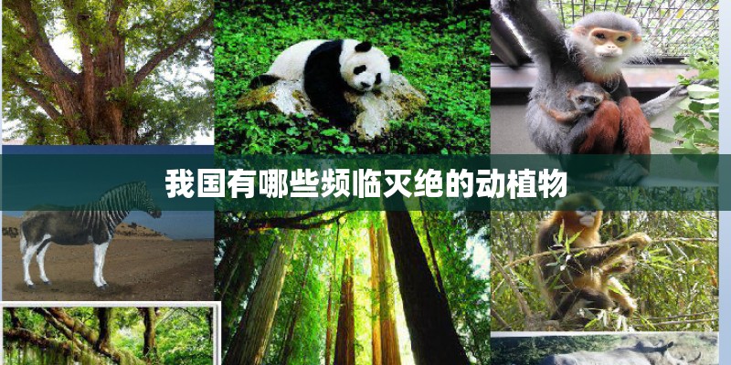 我国有哪些频临灭绝的动植物 我国有哪些频临灭绝的动植物