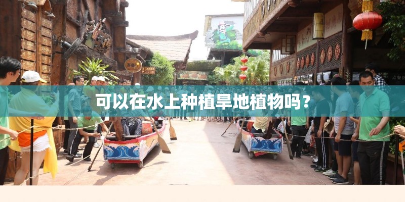 可以在水上种植旱地植物吗？