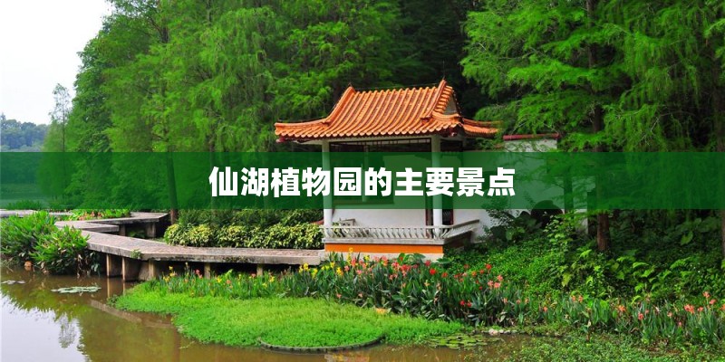 仙湖植物园的主要景点
