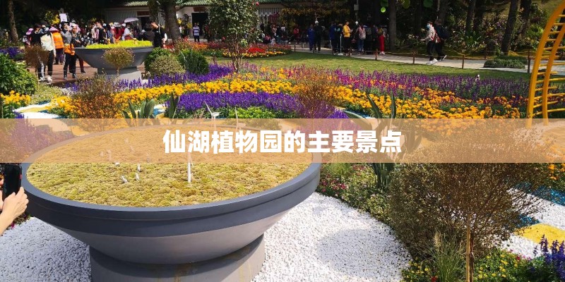 仙湖植物园的主要景点