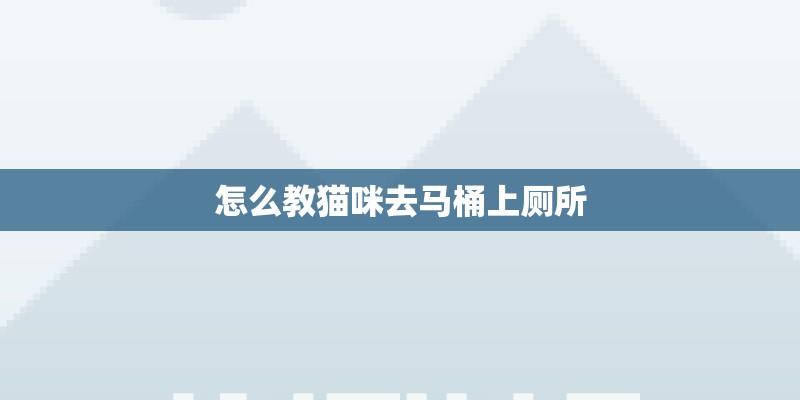 怎么教猫咪去马桶上厕所