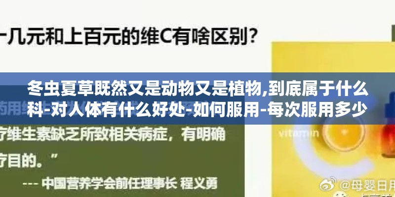 冬虫夏草既然又是动物又是植物,到底属于什么科-对人体有什么好处-如何服用-每次服用多少-