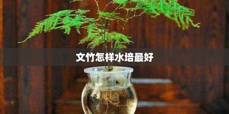 战歌前十名有哪些？