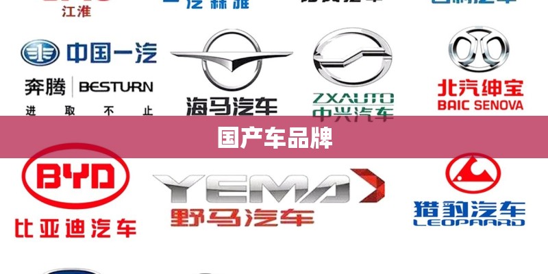 国产车品牌