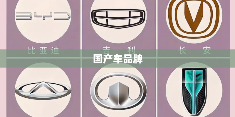 国产车品牌