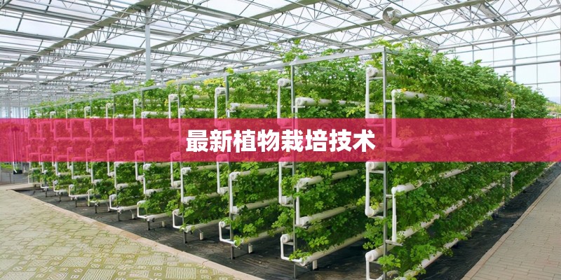 最新植物栽培技术