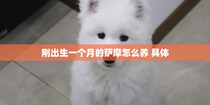 刚出生一个月的萨摩怎么养 具体