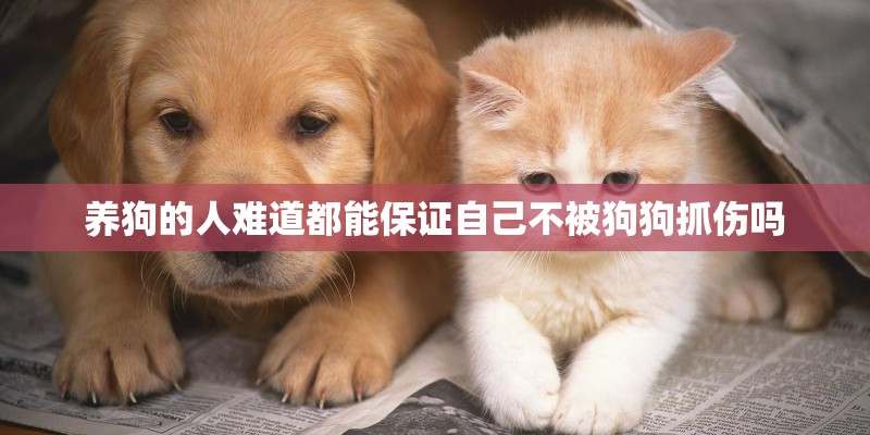 养狗的人难道都能保证自己不被狗狗抓伤吗