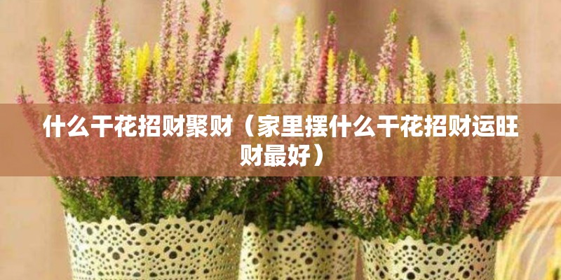 什么干花招财聚财（家里摆什么干花招财运旺财最好）