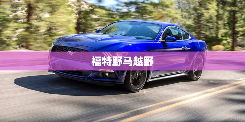 福特野马越野