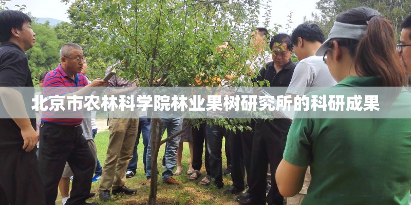 北京市农林科学院林业果树研究所的科研成果