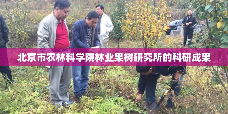 北京市农林科学院林业果树研究所的科研成果