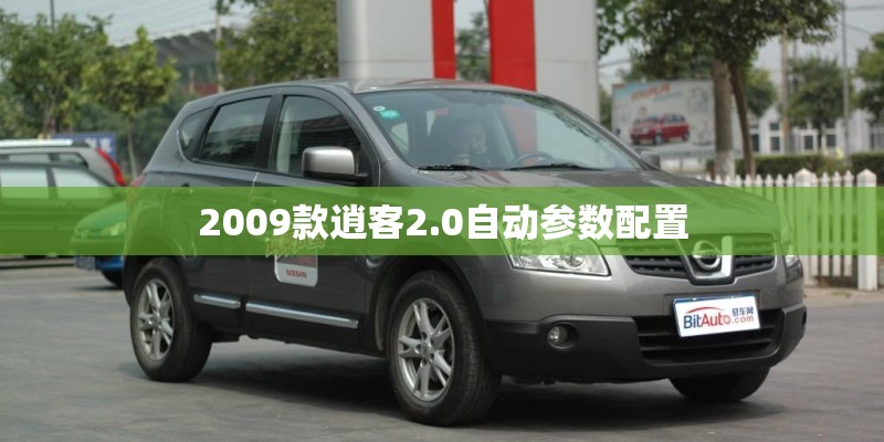 2009款逍客2.0自动参数配置