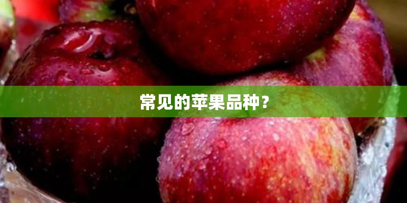 常见的苹果品种？