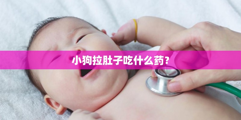 小狗拉肚子吃什么药？