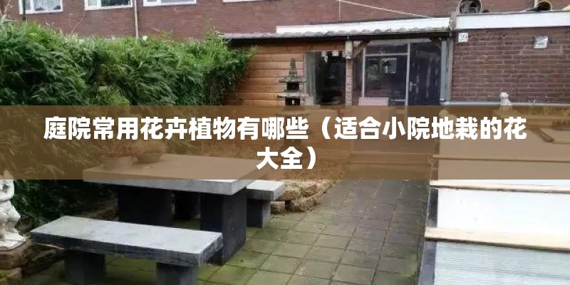 庭院常用花卉植物有哪些（适合小院地栽的花大全）