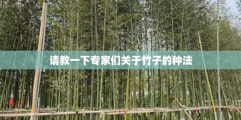 请教一下专家们关于竹子的种法
