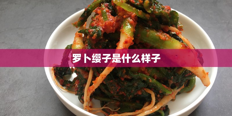 罗卜缨子是什么样子