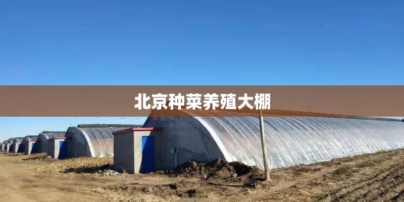 北京种菜养殖大棚 北京种菜养殖大棚