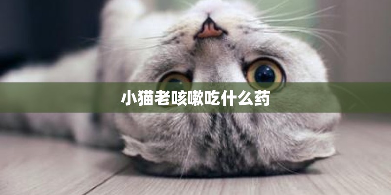 小猫老咳嗽吃什么药