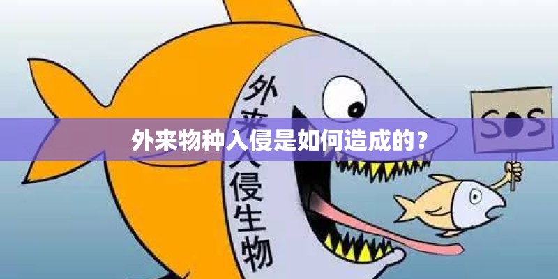 外来物种入侵是如何造成的? 外来物种入侵是如何造成的?