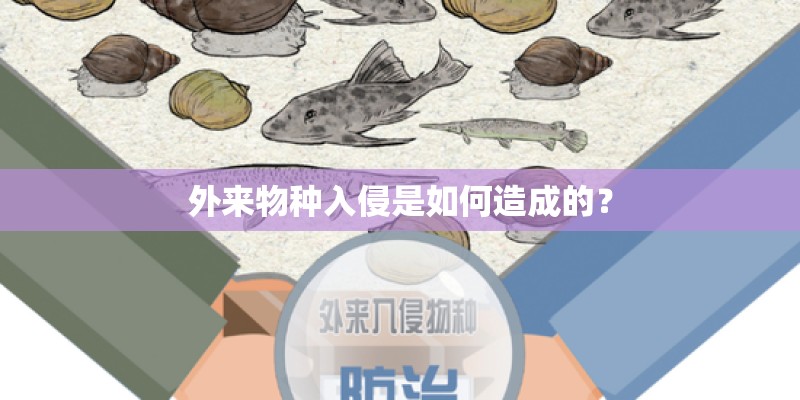 外来物种入侵是如何造成的？