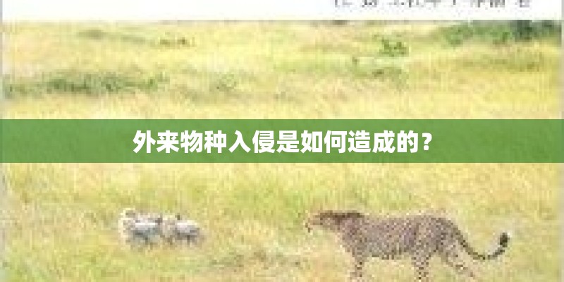 外来物种入侵是如何造成的? 外来物种入侵是如何造成的?