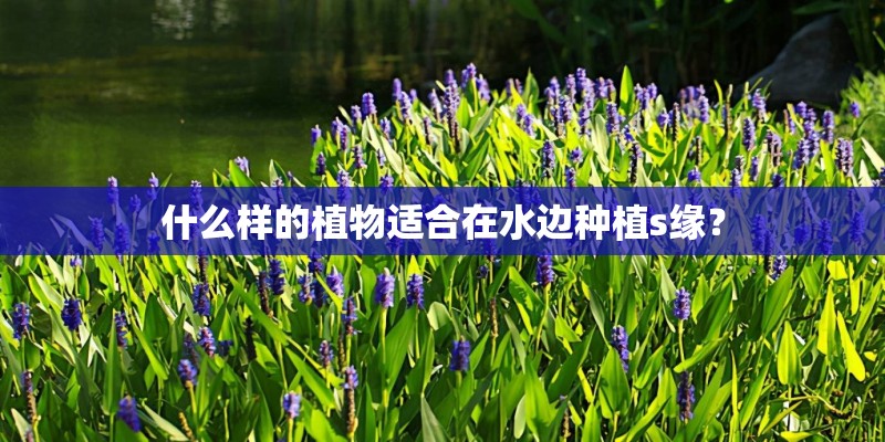 什么样的植物适合在水边种植s缘？