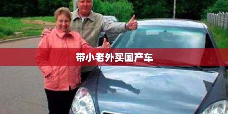 带小老外买国产车