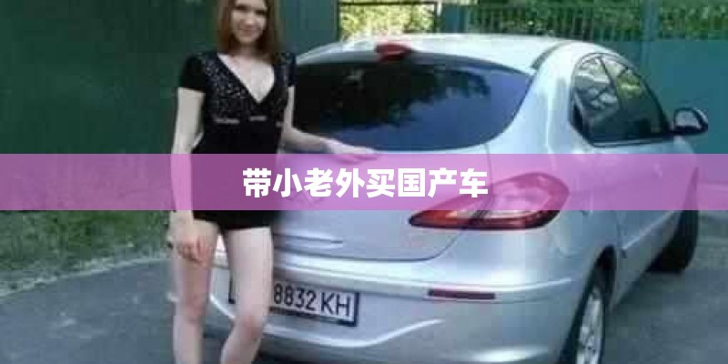带小老外买国产车