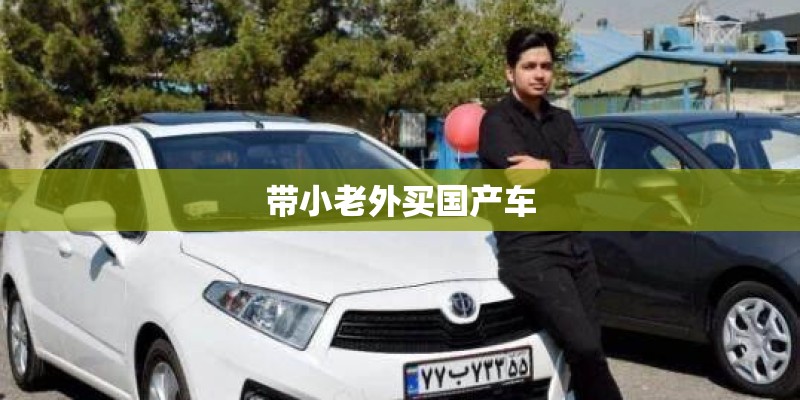 带小老外买国产车