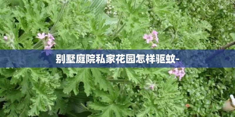 别墅庭院私家花园怎样驱蚊-