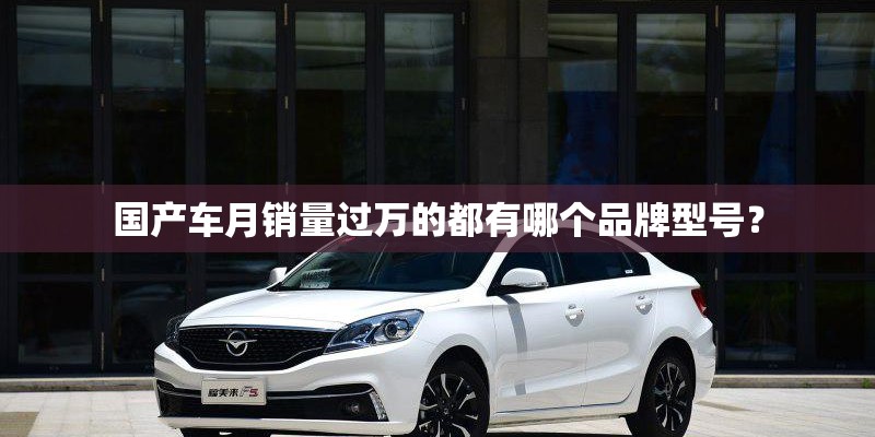国产车月销量过万的都有哪个品牌型号？