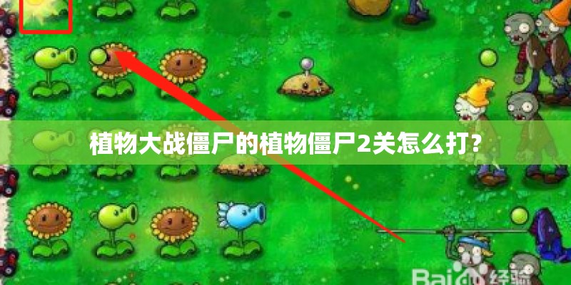 核桃苗的种植技术 核桃苗的种植技术