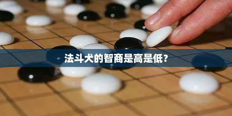 法斗犬的智商是高是低? 法斗犬的智商是高是低?