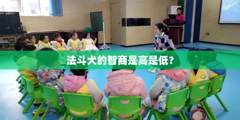 法斗犬的智商是高是低? 法斗犬的智商是高是低?