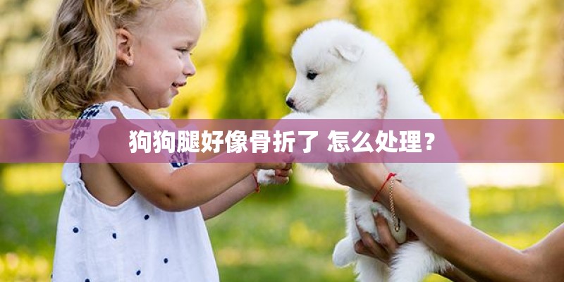 狗狗腿好像骨折了 怎么处理? 狗狗腿好像骨折了 怎么处理?