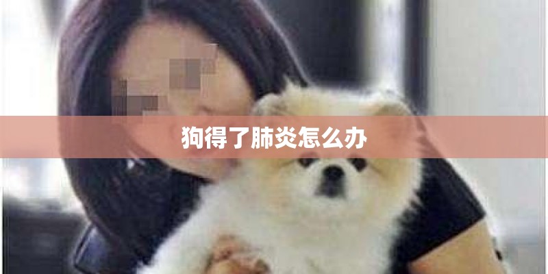 狗得了肺炎怎么办
