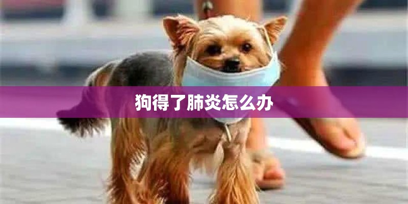 狗得了肺炎怎么办
