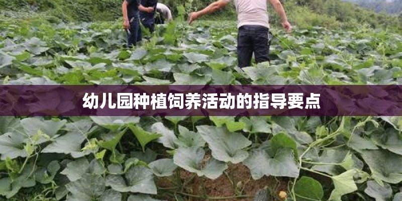 幼儿园种植饲养活动的指导要点 幼儿园种植饲养活动的指导要点