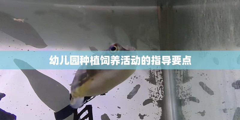 幼儿园种植饲养活动的指导要点 幼儿园种植饲养活动的指导要点
